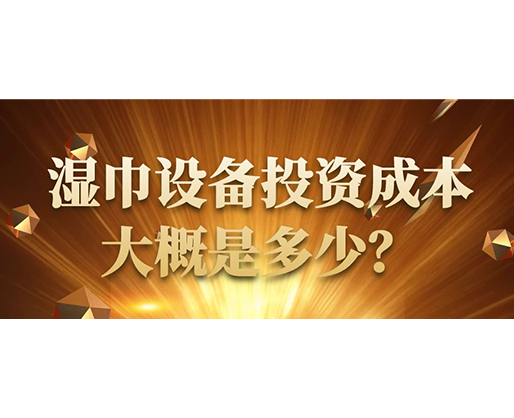 濕巾設備投資成本大概是多少？