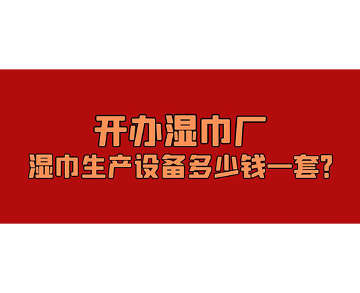 開辦濕巾廠，濕巾生產設備多少錢一套？